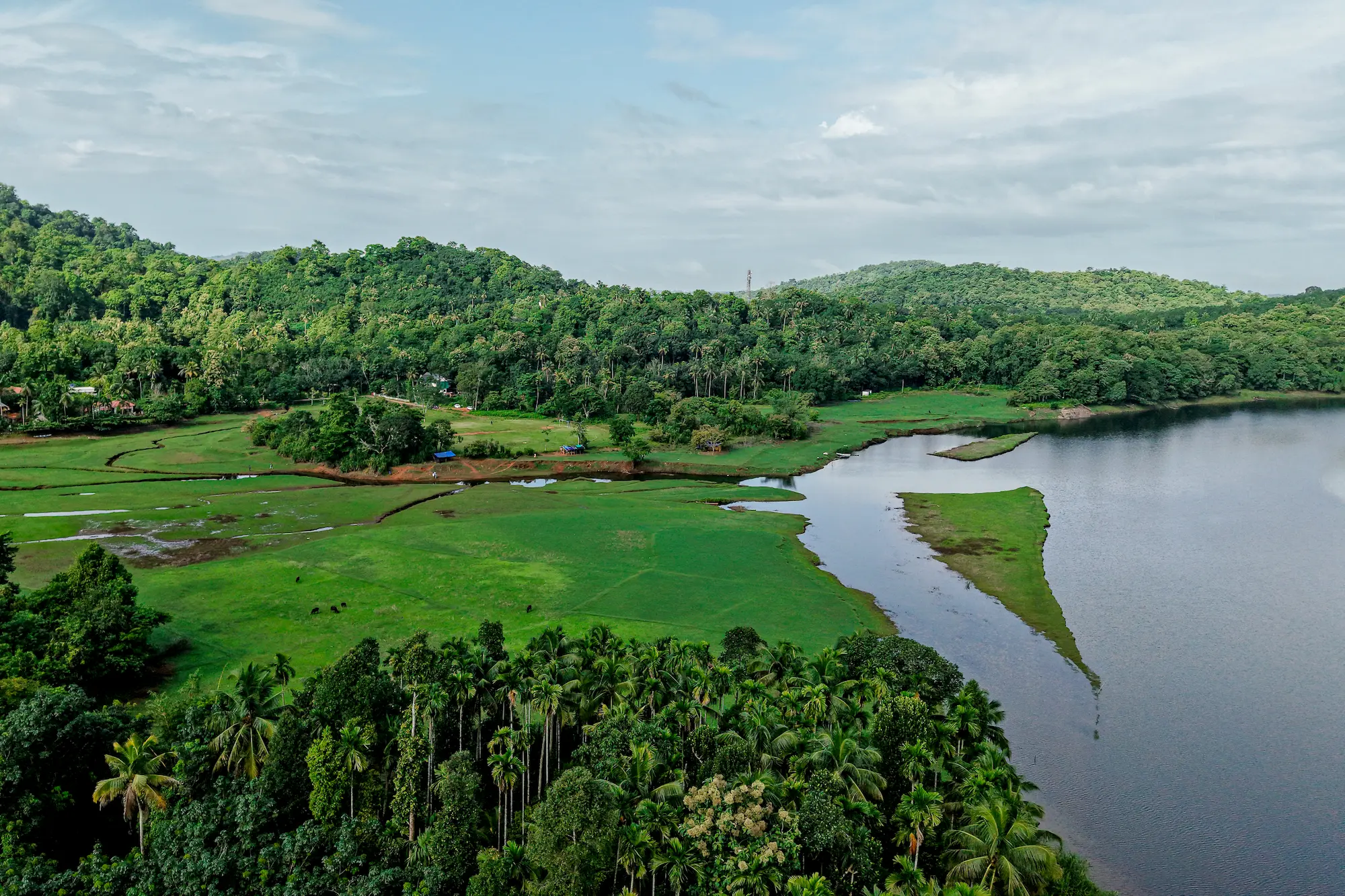 Deep Forest Walking Trails